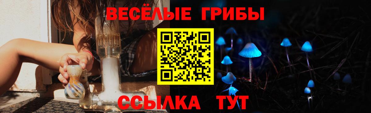 Кисловодск  Галлюциногенные грибы прущие грибы  Вход с VPN 